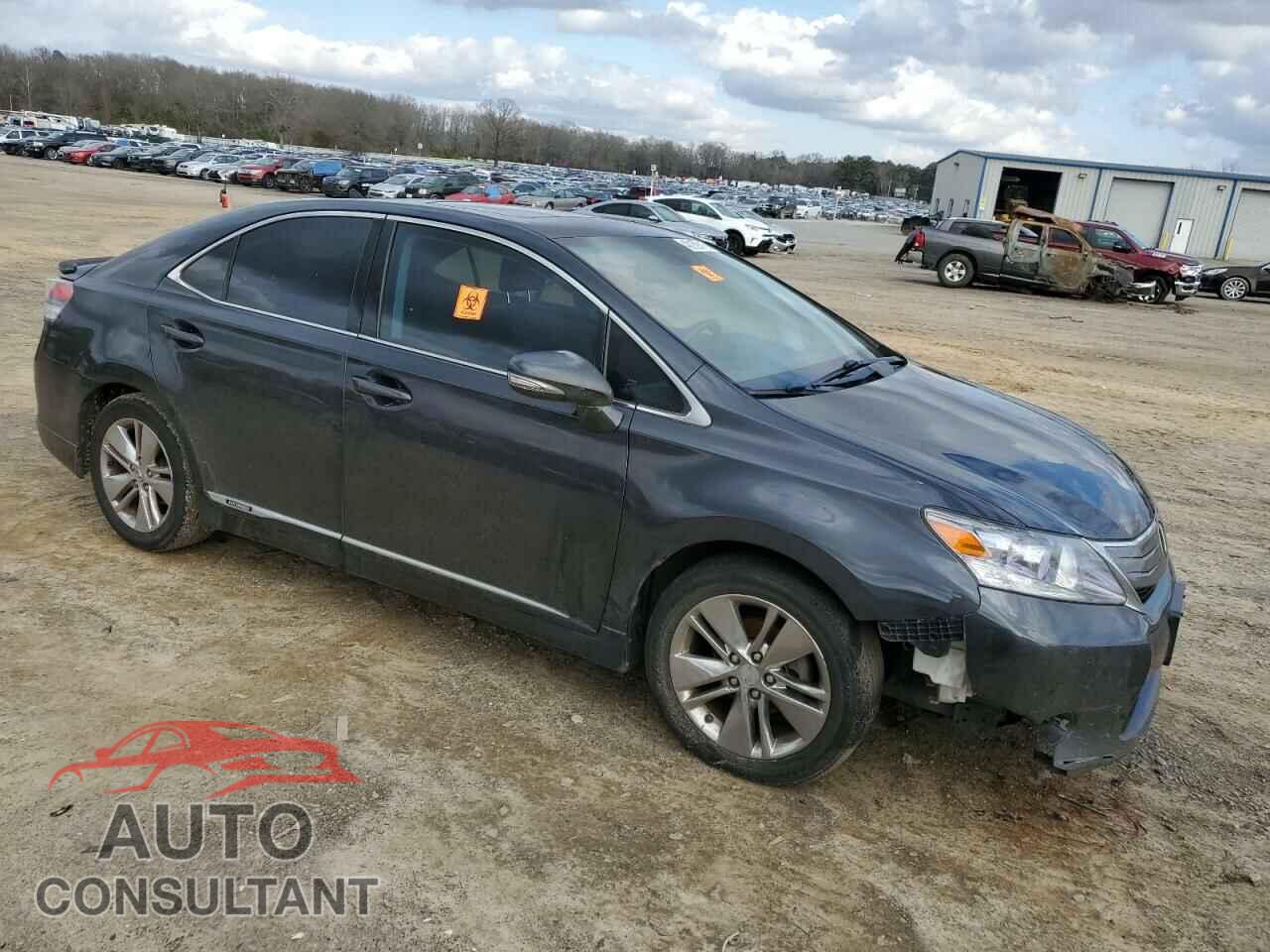 LEXUS HS 2010 - JTHBB1BA8A2025408