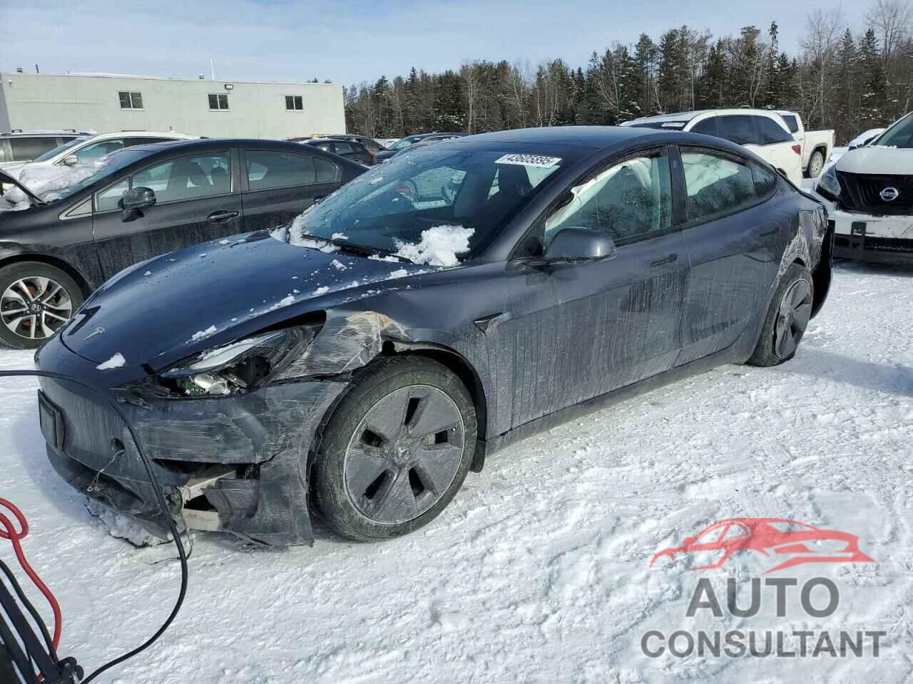 TESLA MODEL 3 2023 - LRW3E1FA5PC945276
