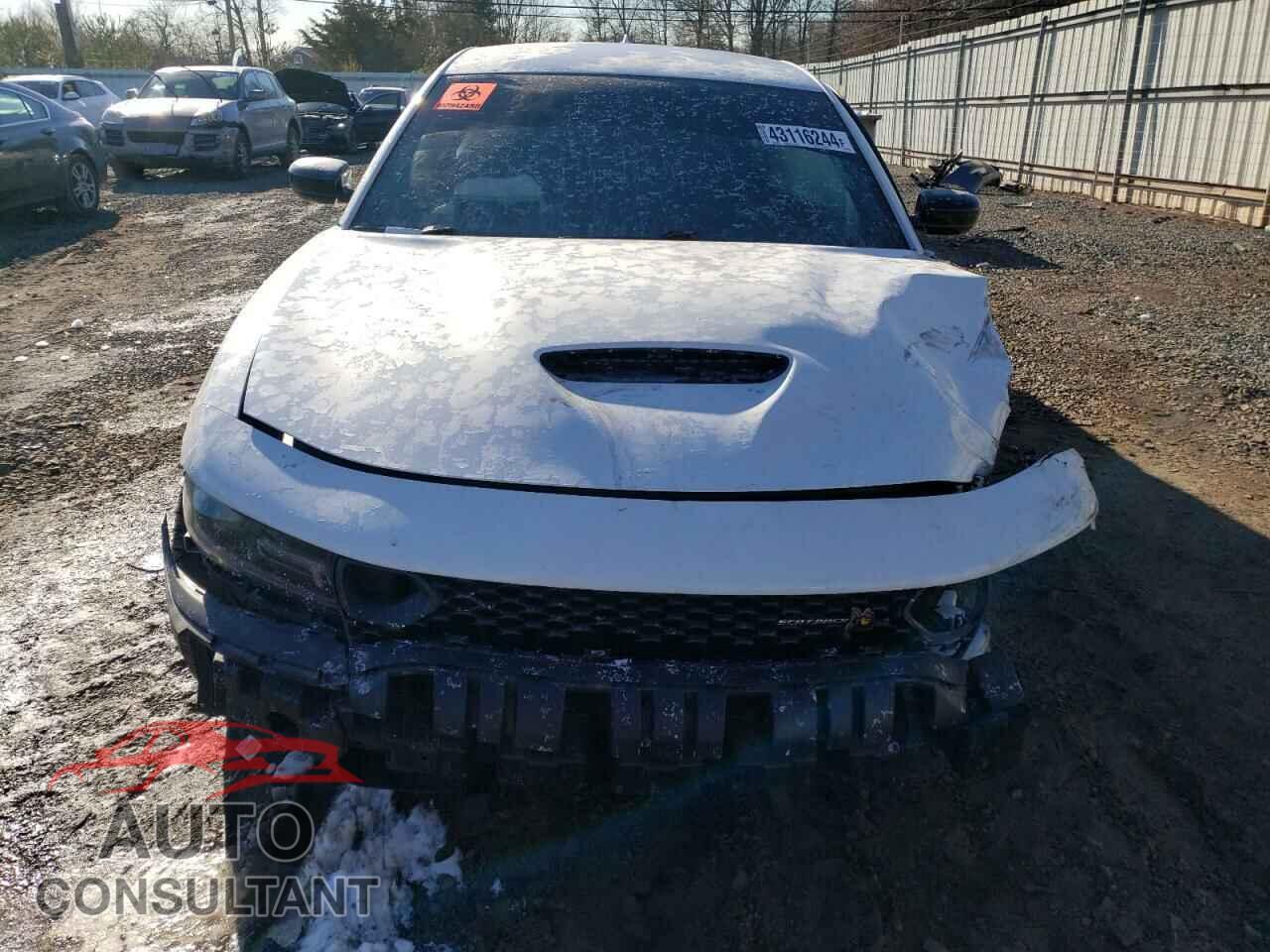 DODGE CHARGER 2019 - 2C3CDXGJ6KH725842