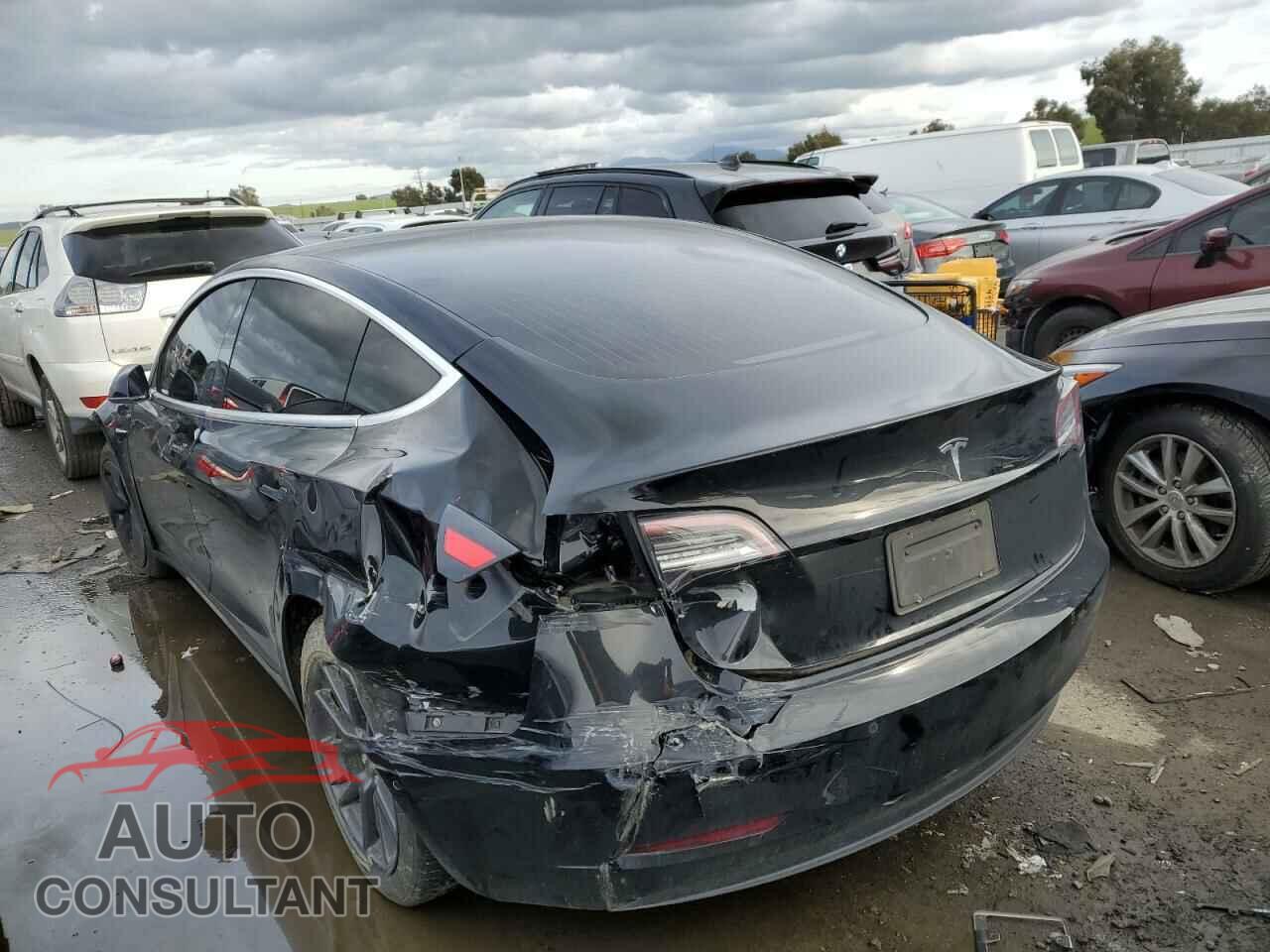 TESLA MODEL 3 2020 - 5YJ3E1EA1LF704574