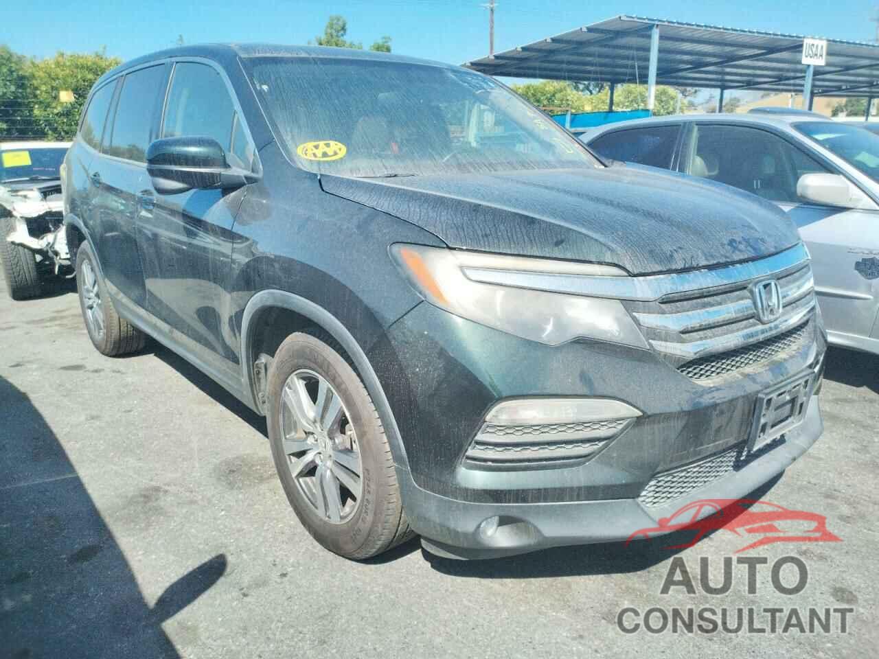 HONDA PILOT 2016 - 5FNYF5H55GB019489