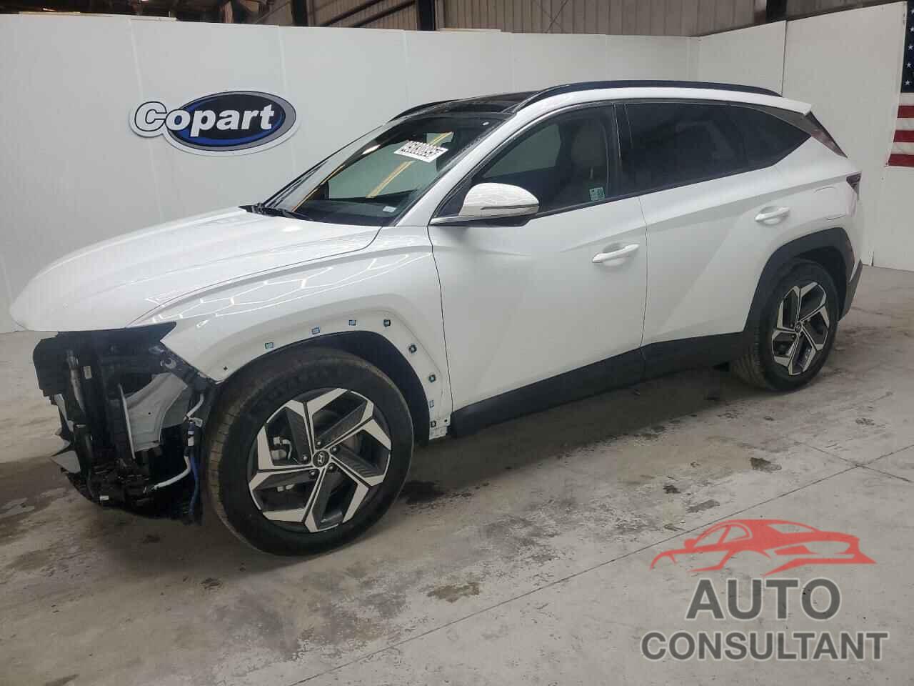 HYUNDAI TUCSON 2024 - 5NMJE3DE1RH353664