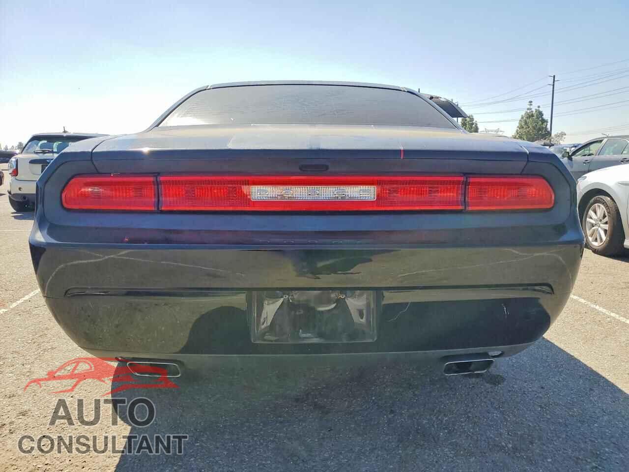 DODGE CHALLENGER 2013 - 2C3CDYAG6DH607764