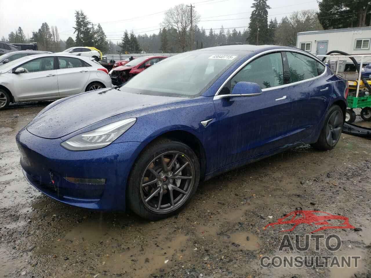 TESLA MODEL 3 2019 - 5YJ3E1EB3KF433198