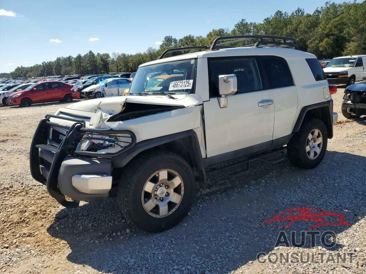 TOYOTA FJ CRUISER 2010 - JTEBU4BF6AK082923