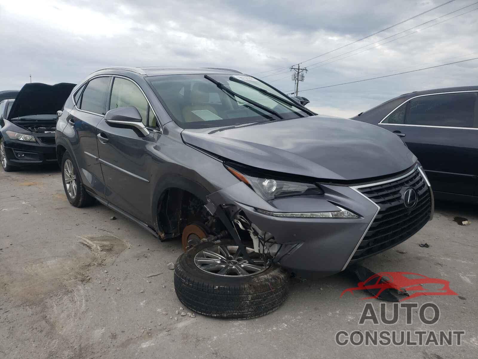 LEXUS NX 2019 - JTJBARBZ2K2193617