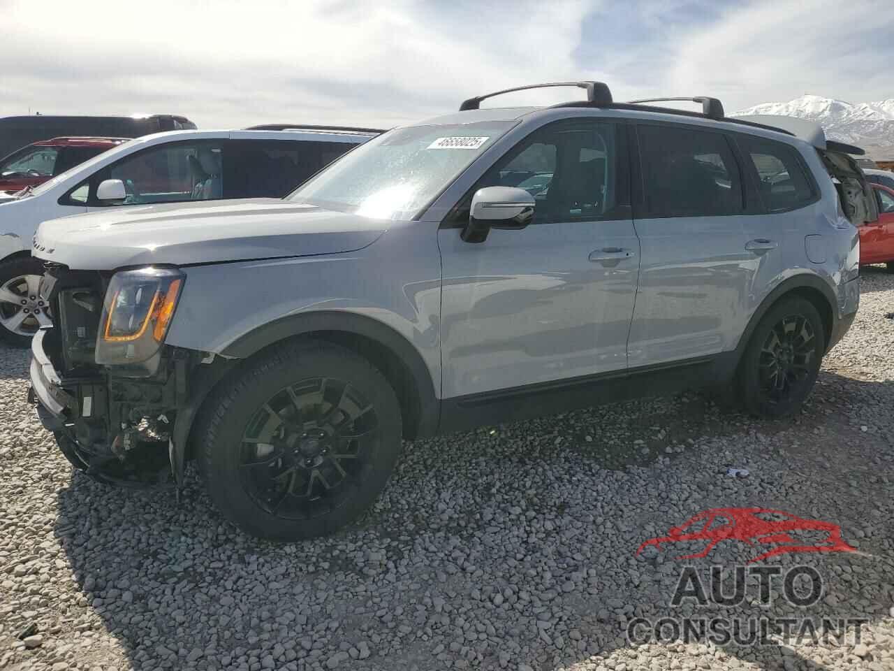 KIA TELLURIDE 2021 - 5XYP5DHC7MG131111