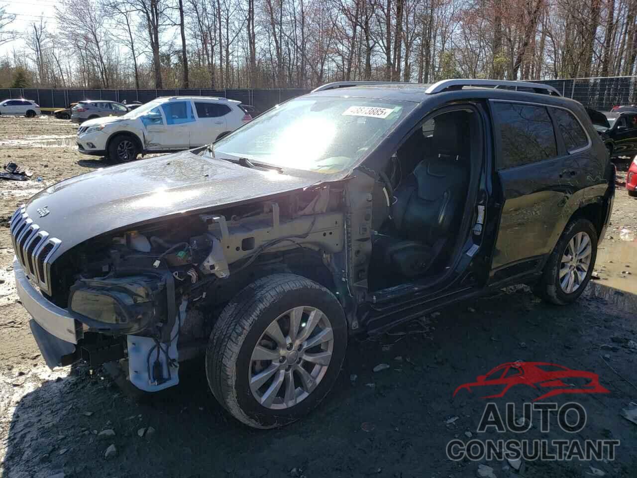 JEEP CHEROKEE 2016 - 1C4PJLJB1GW342657