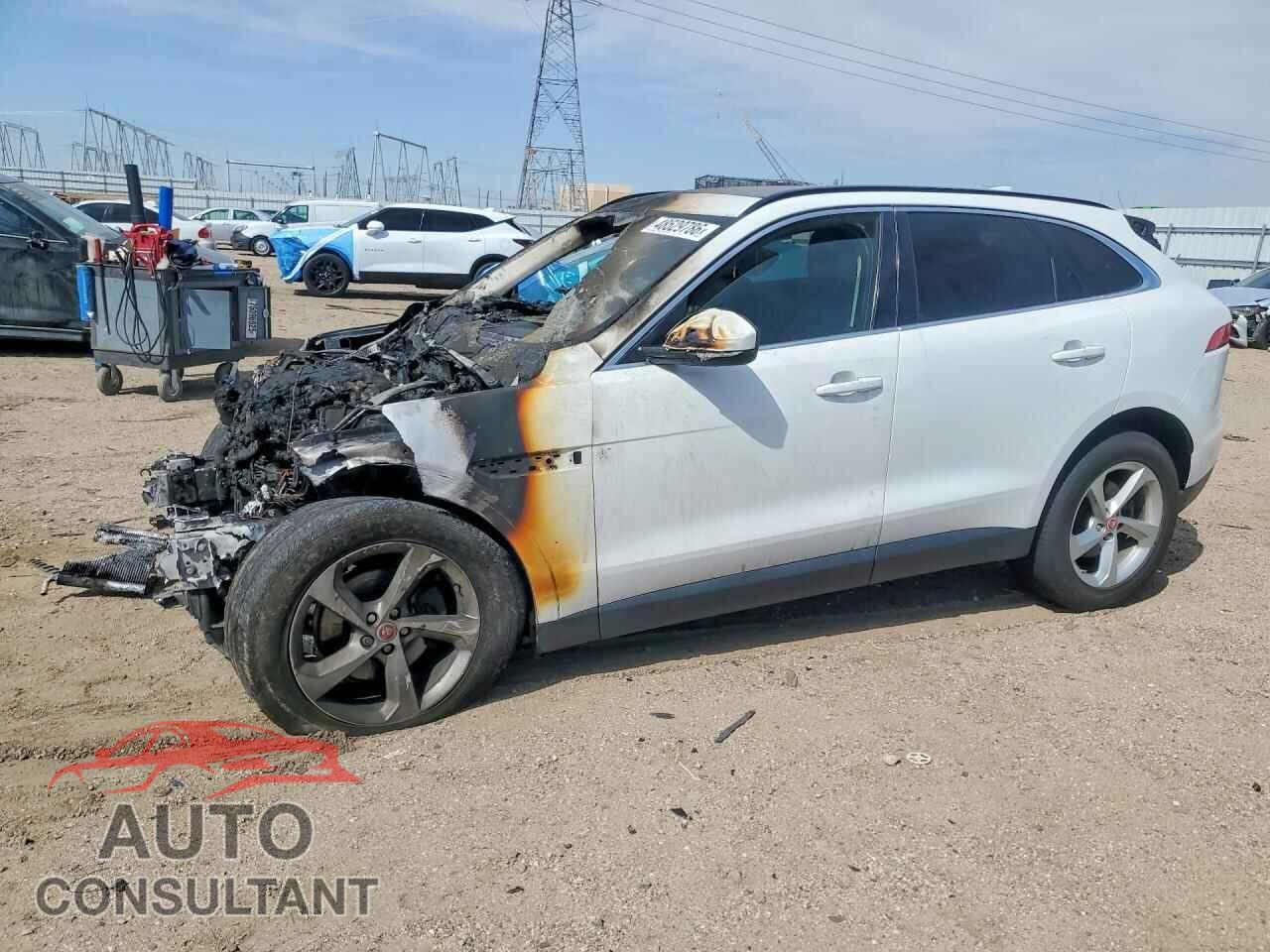 JAGUAR F-PACE 2019 - SADCJ2FX7KA398819