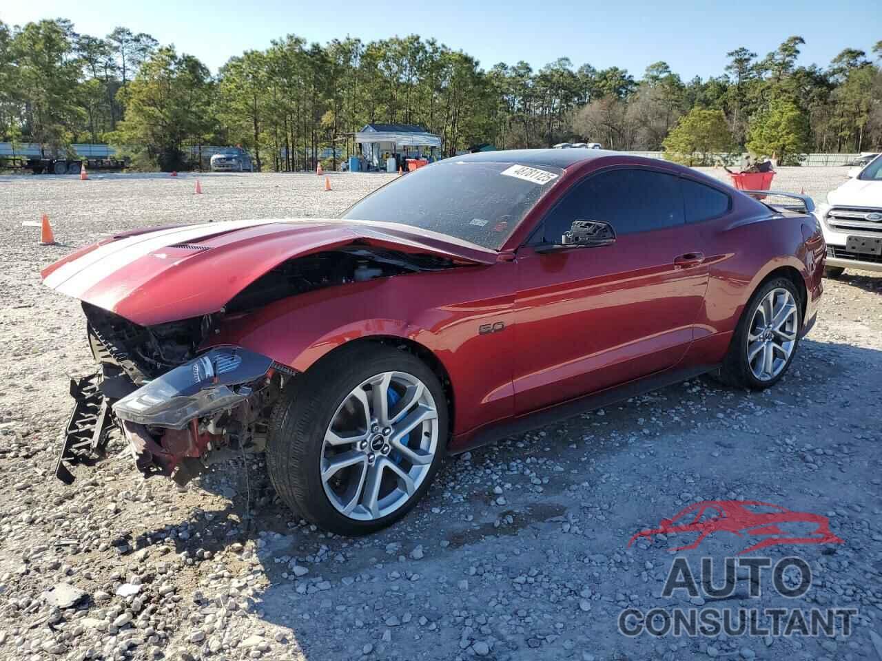 FORD MUSTANG 2019 - 1FA6P8CF0K5134040