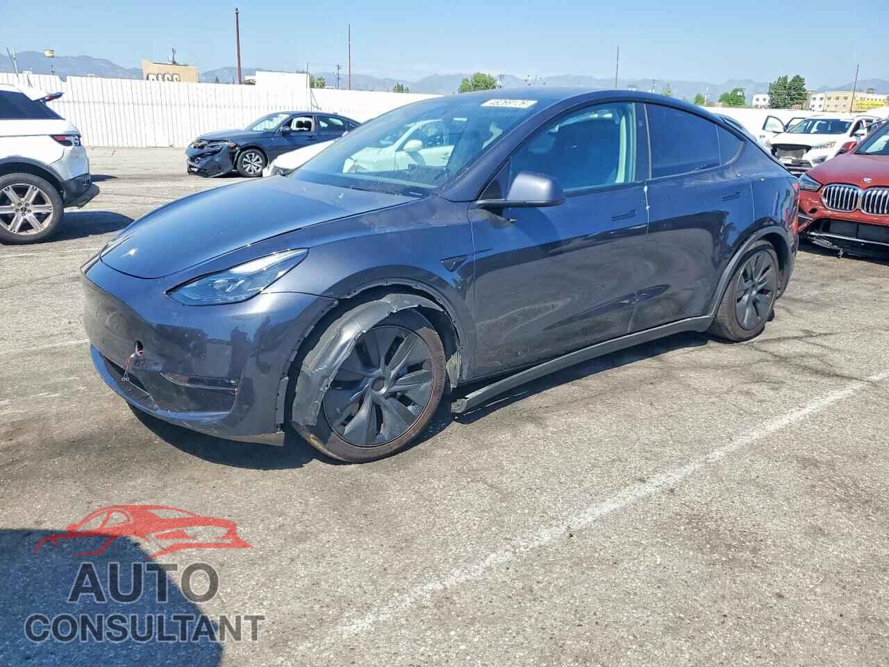 TESLA MODEL Y 2024 - 7SAYGDED8RF176782