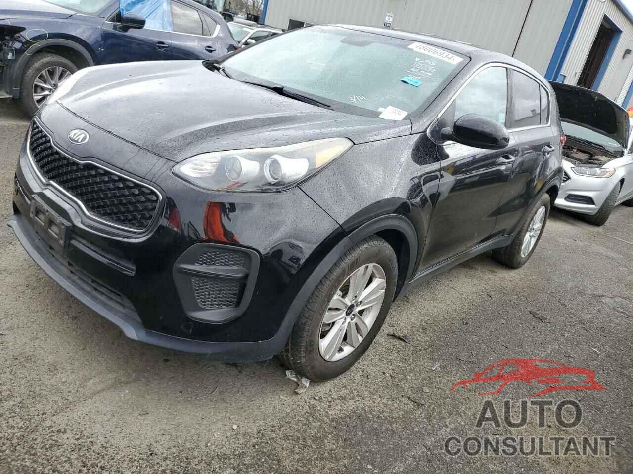 KIA SPORTAGE 2017 - KNDPM3AC2H7108880