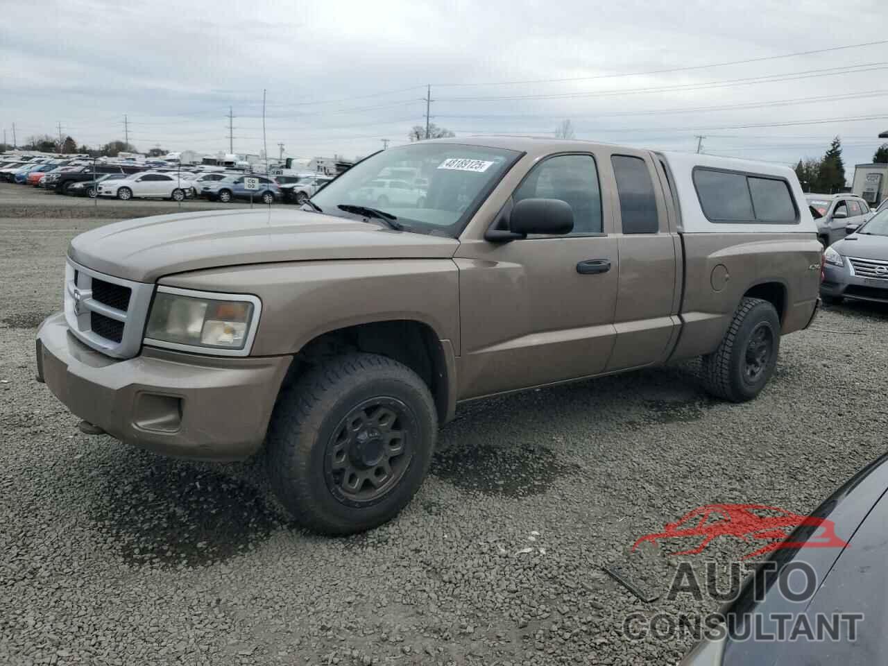 DODGE DAKOTA 2010 - 1D7RW3BK4AS233705