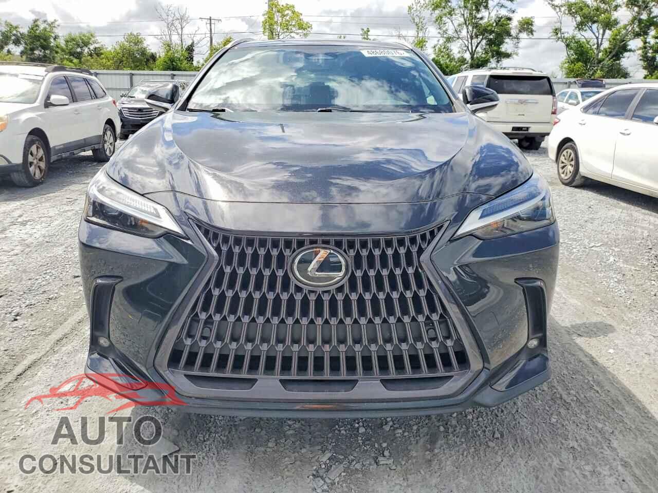 LEXUS UNKNOWN 2023 - 2T2GGCEZ2PC020085