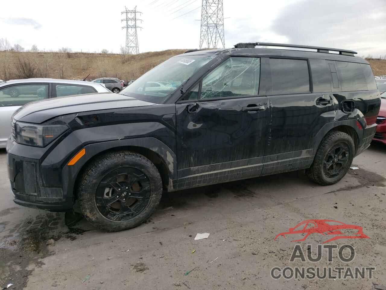 HYUNDAI SANTA FE 2024 - 5NMP3DGL9RH042953