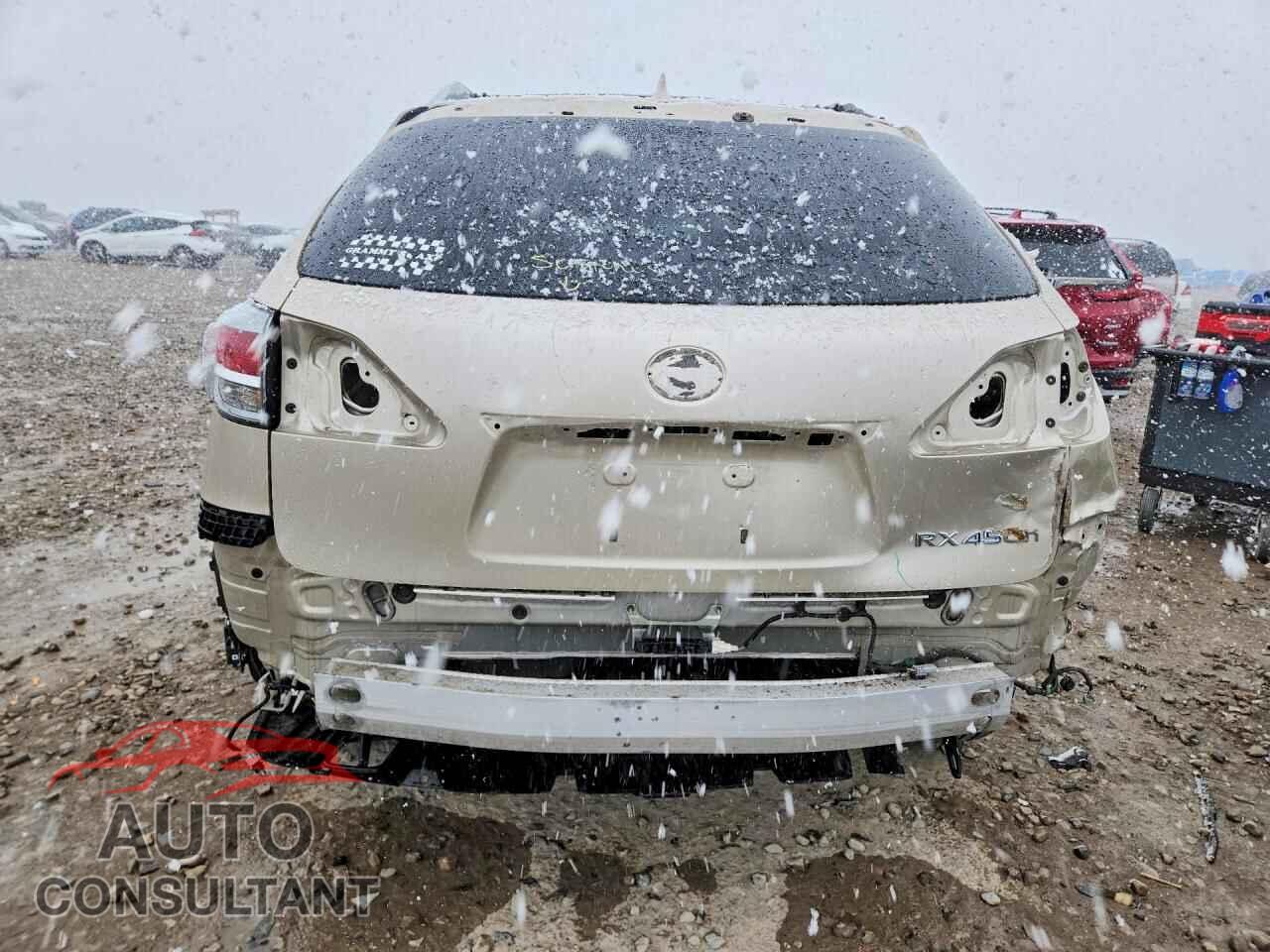 LEXUS RX450 2015 - 2T2BC1BAXFC005485