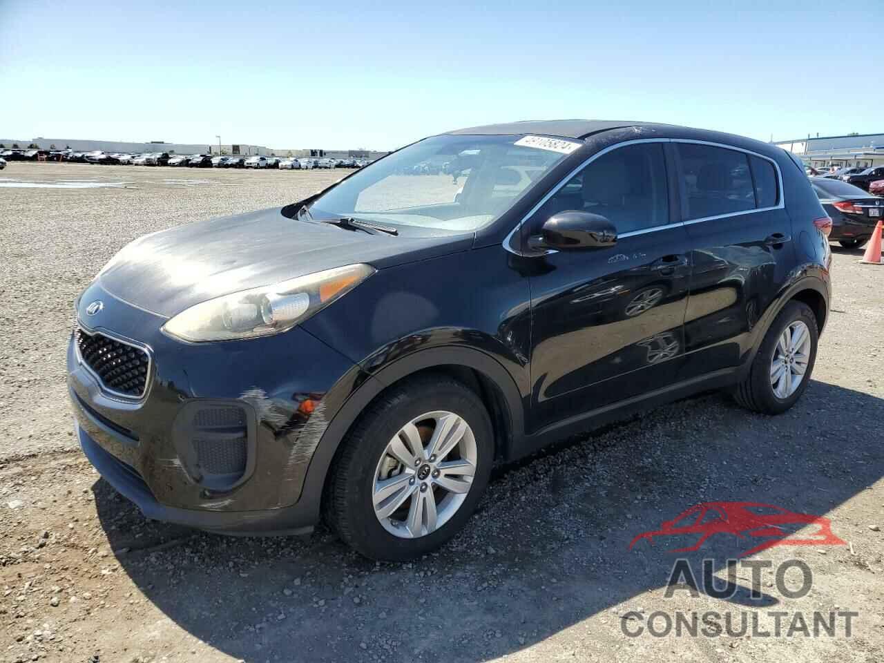 KIA SPORTAGE 2017 - KNDPM3AC7H7156763