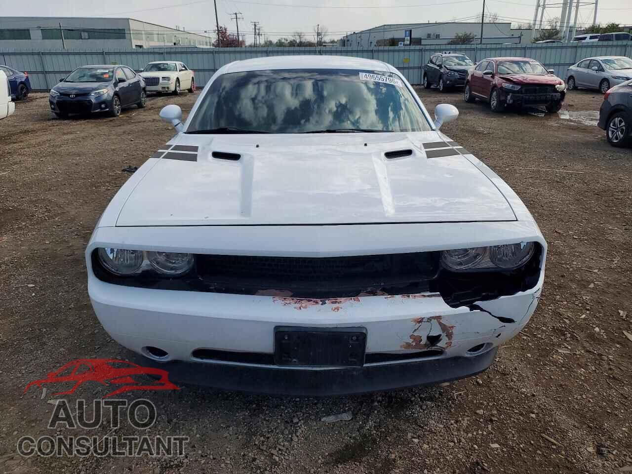 DODGE CHALLENGER 2014 - 2C3CDYAG4EH250280