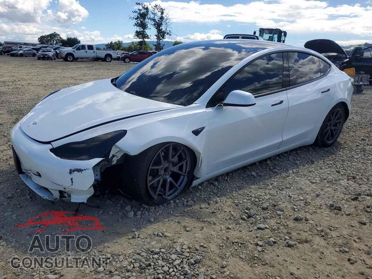 TESLA MODEL 3 2021 - 5YJ3E1EA1MF868103