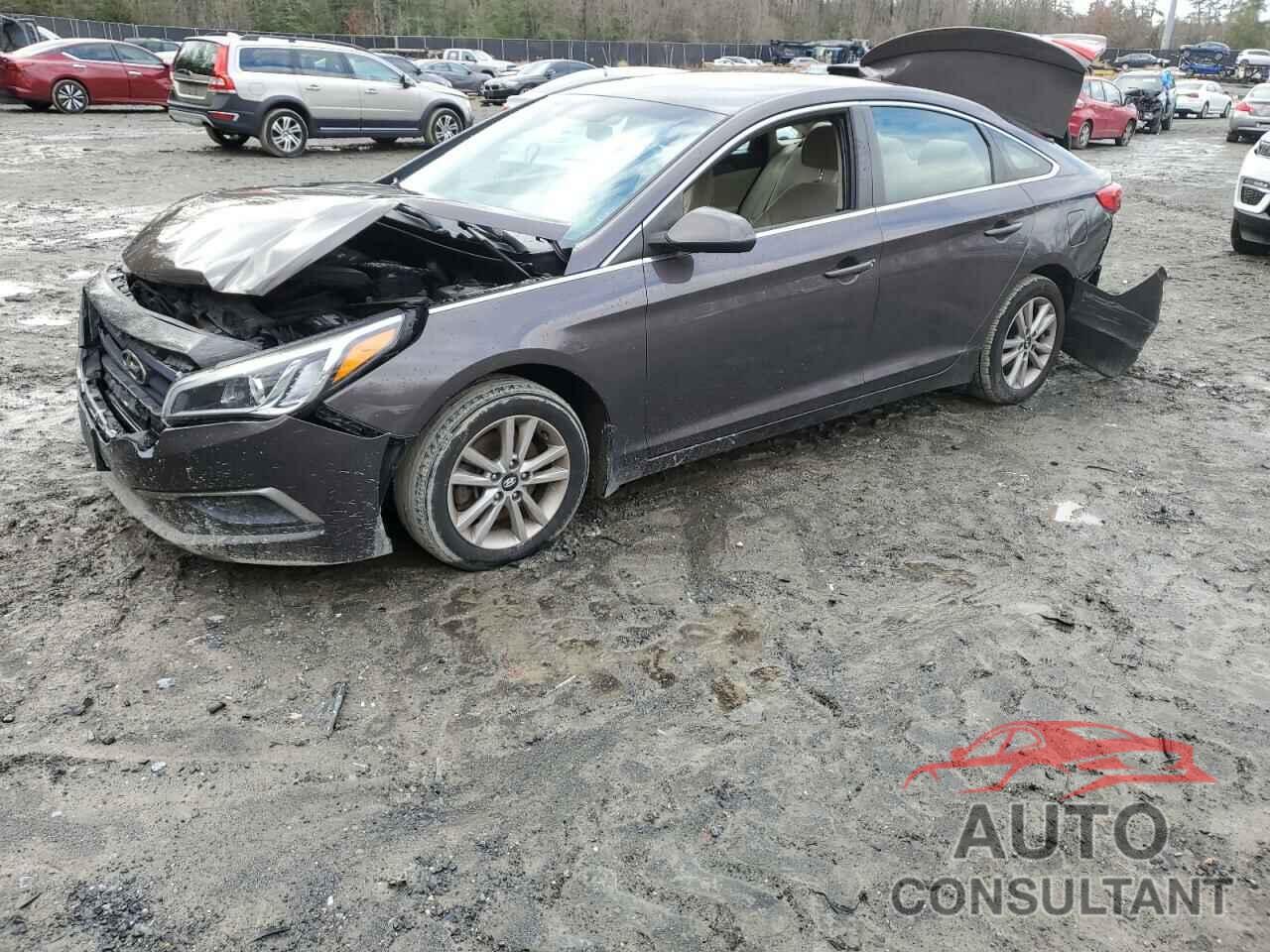 HYUNDAI SONATA 2016 - 5NPE24AF6GH419946