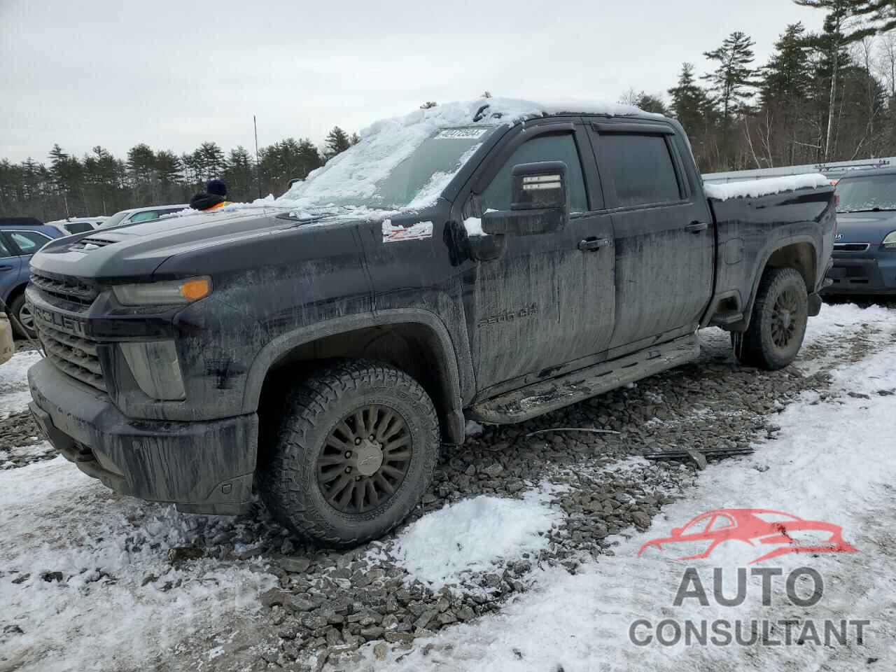 CHEVROLET SILVERADO 2021 - 1GC4YPEY2MF245127