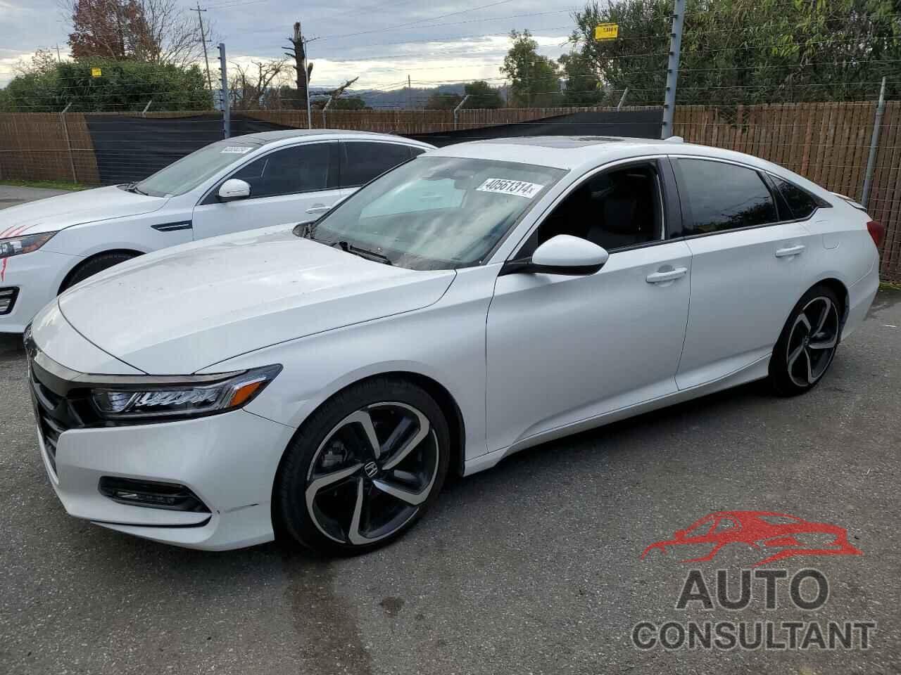 HONDA ACCORD 2019 - 1HGCV2F31KA008408