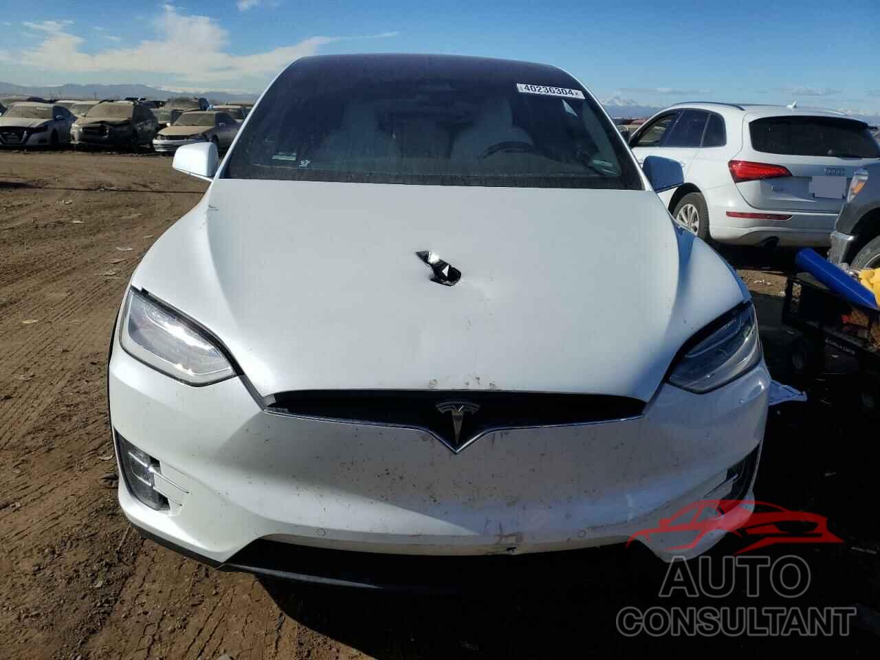 TESLA MODEL X 2020 - 5YJXCAE24LF231060