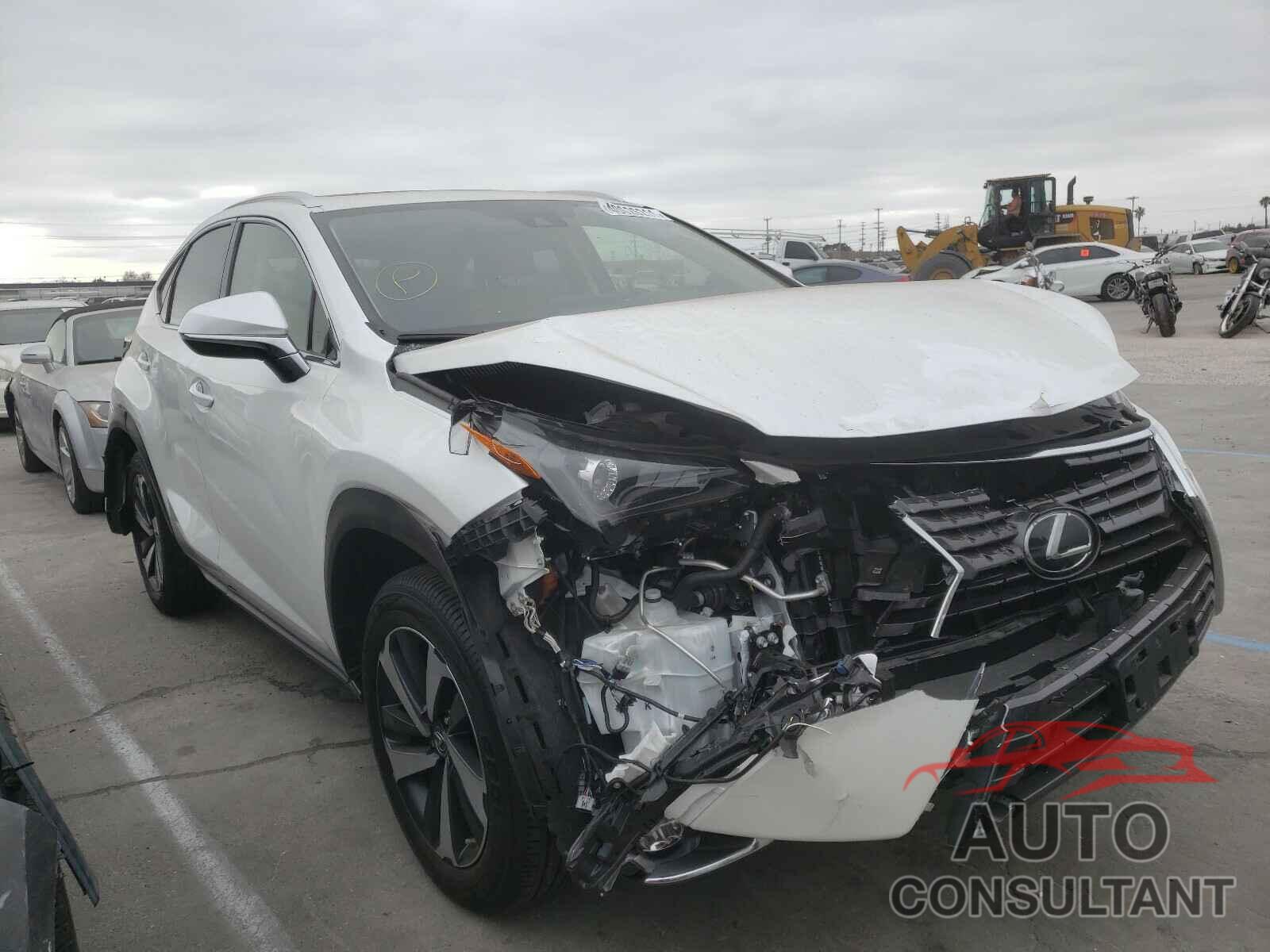 LEXUS NX 2020 - JTJDARBZ0L5005329