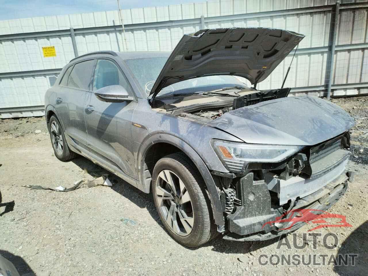 AUDI ALL OTHER 2022 - WA1AAAGE4NB011694