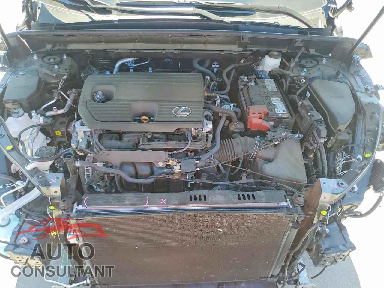 LEXUS UNKNOWN 2025 - 2T2GDCAZ9SC016591