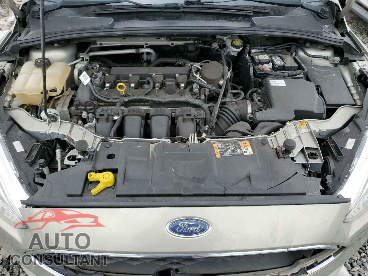FORD FOCUS 2016 - 1FADP3F26GL206882