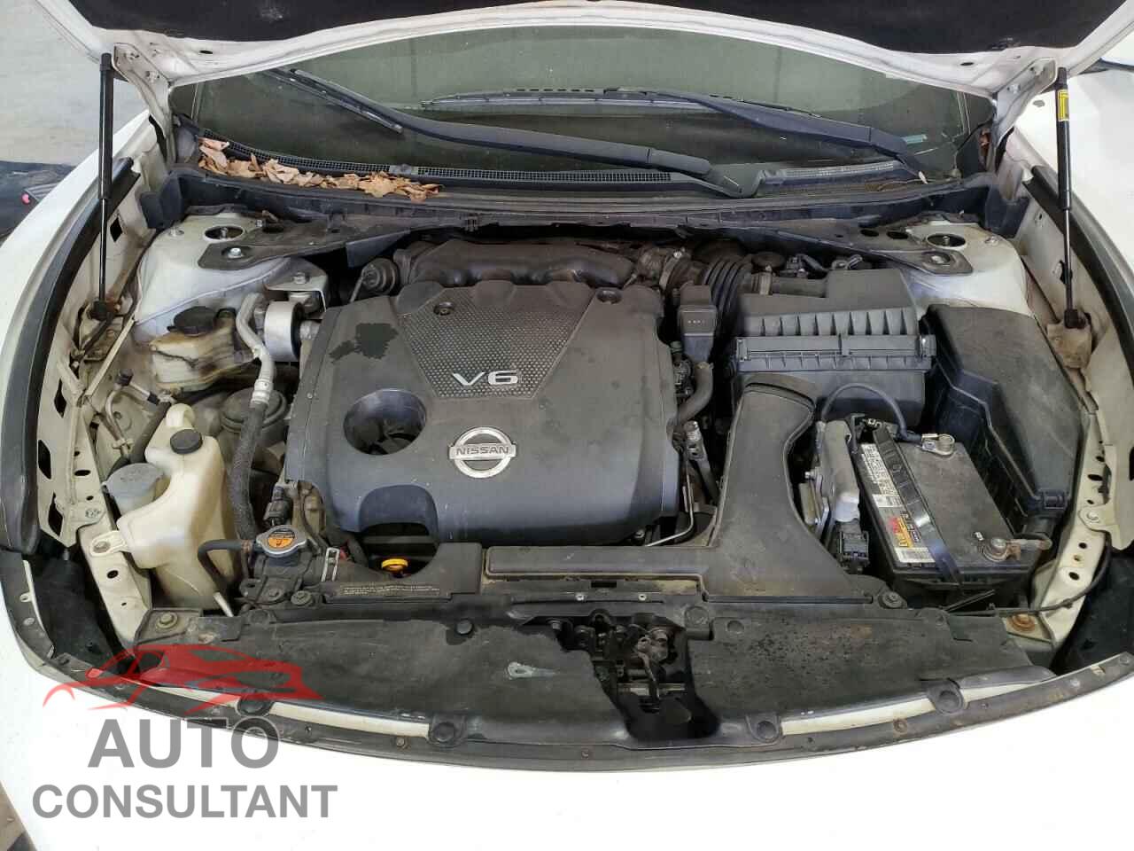 NISSAN MAXIMA 2013 - 1N4AA5AP9DC829296