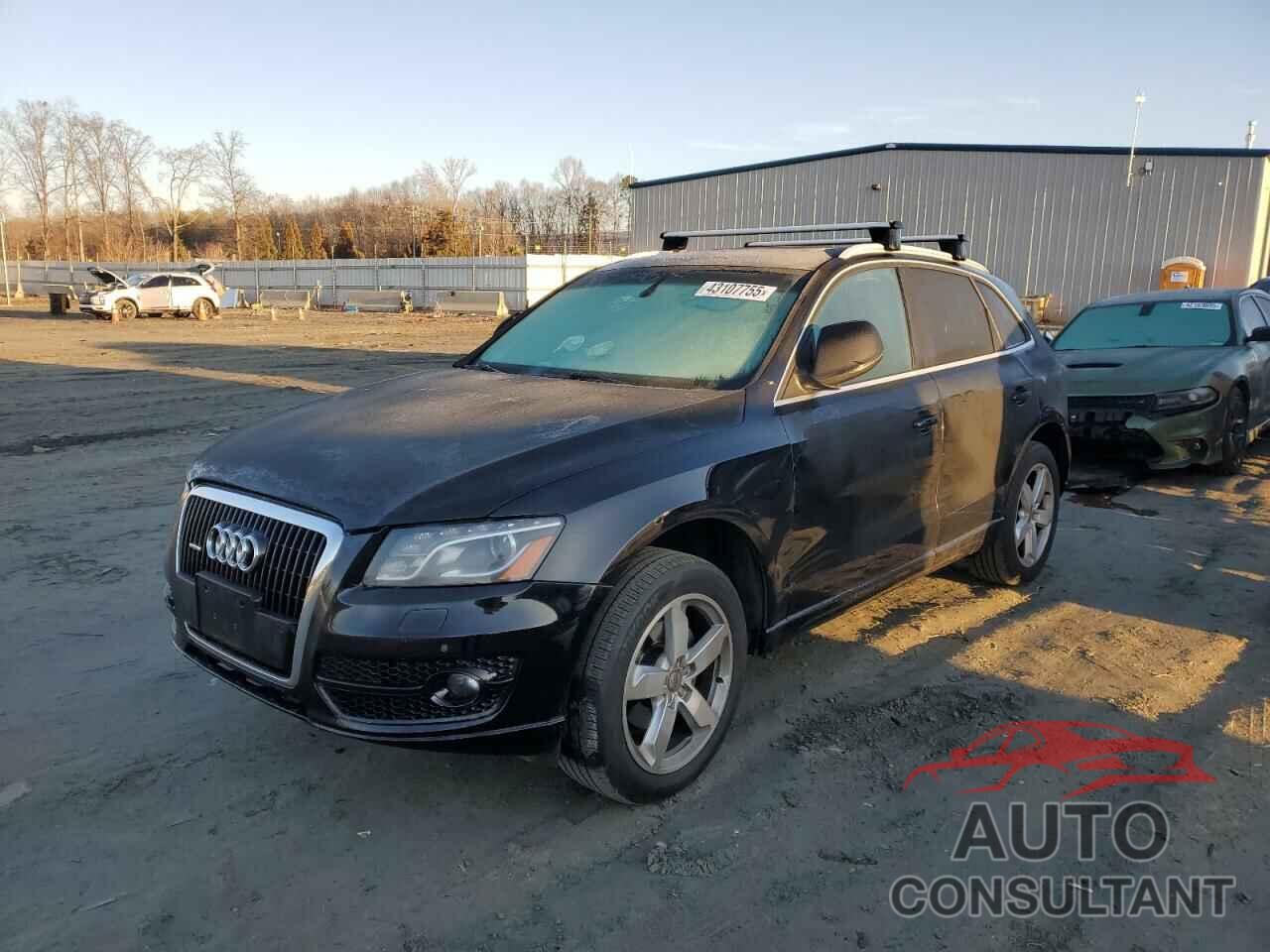 AUDI Q5 2012 - WA1LFAFP7CA023841