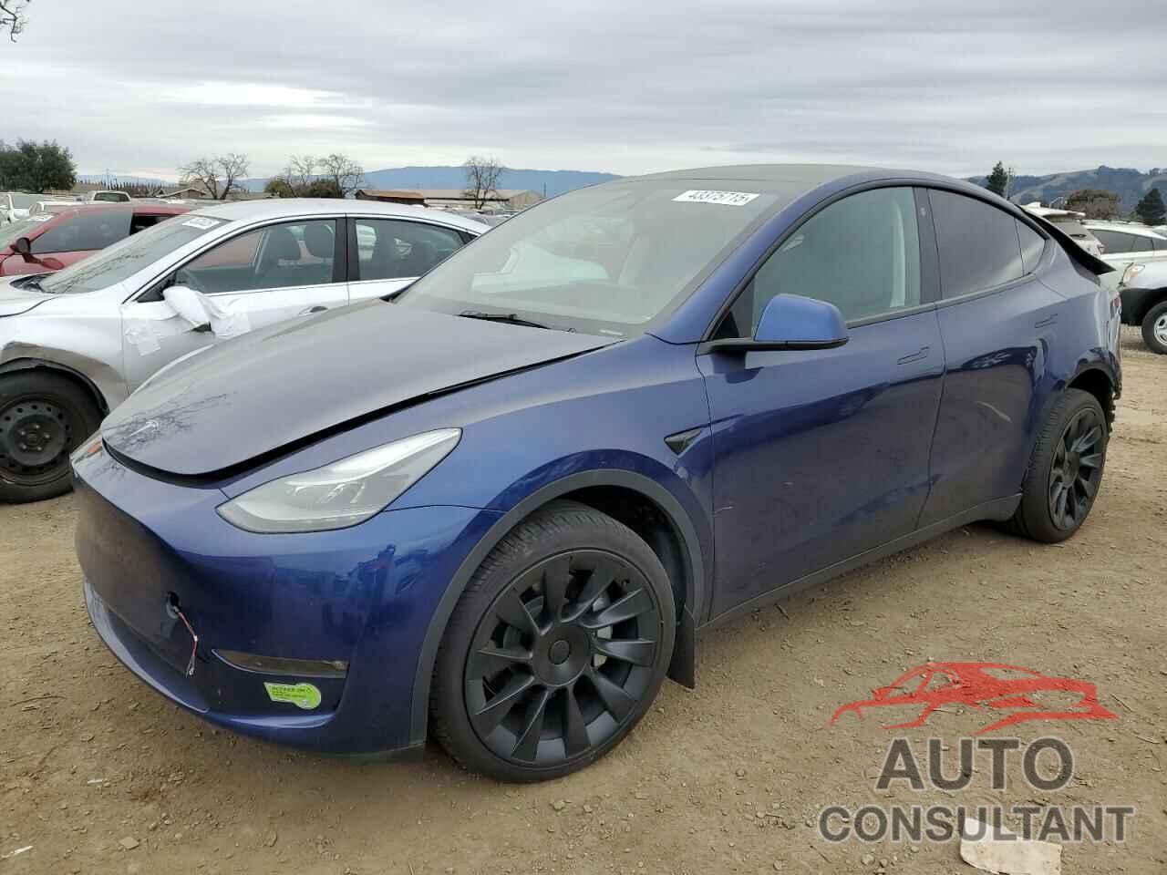 TESLA MODEL Y 2023 - 7SAYGDEE3PF667539