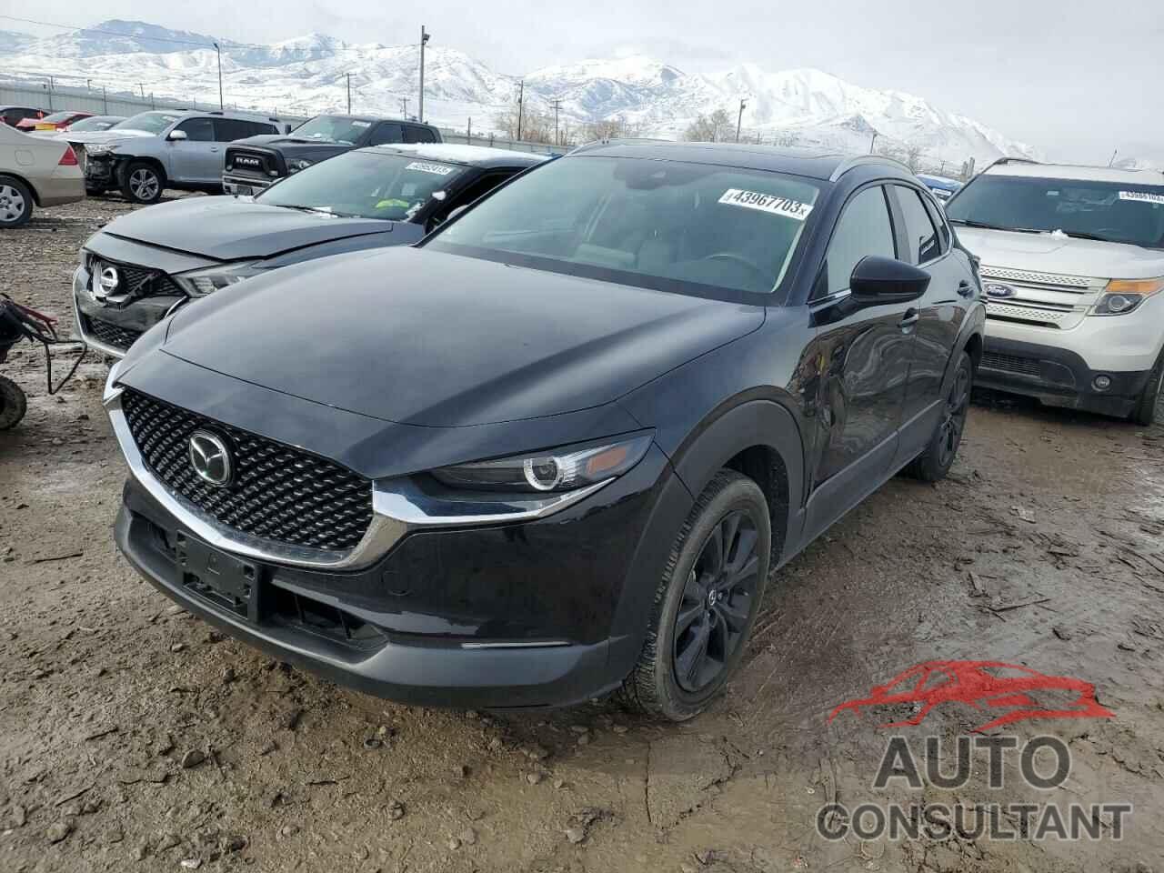 MAZDA CX30 2021 - 3MVDMBAY7MM252433