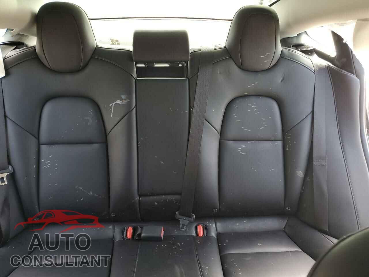 TESLA MODEL 3 2019 - 5YJ3E1EA9KF305507