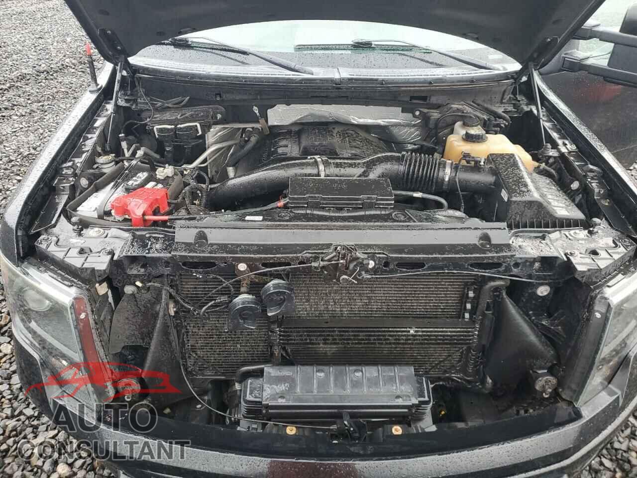 FORD F150 2013 - 1FTFW1ET4DFC35747