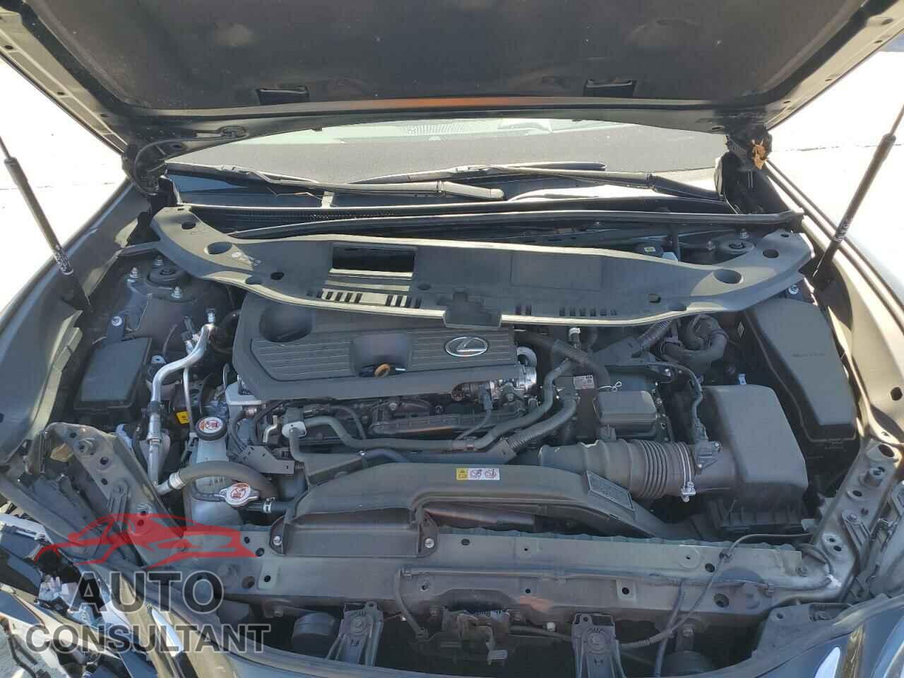 LEXUS ES300 2024 - 58ADA1C19RU042556