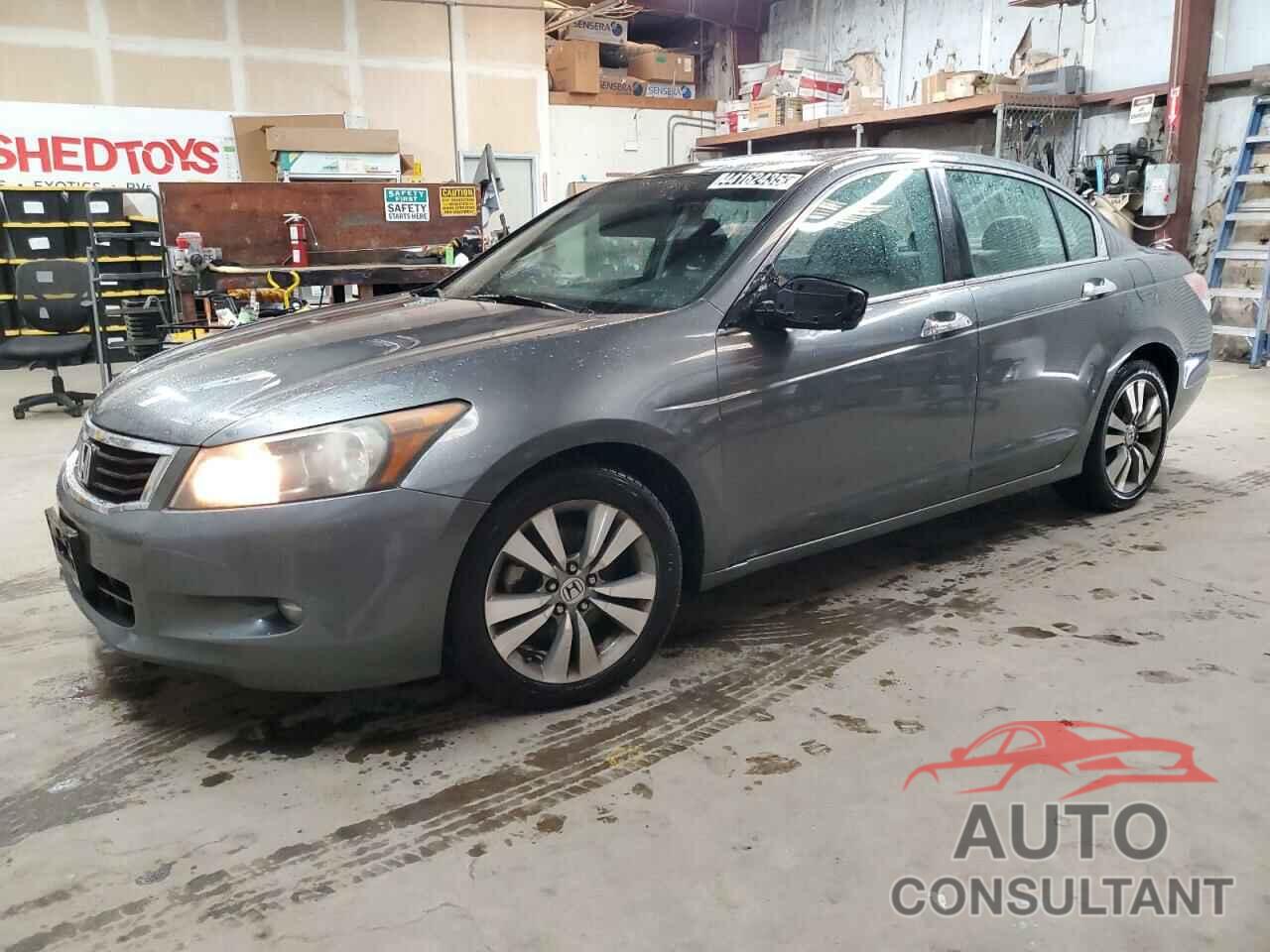 HONDA ACCORD 2009 - 1HGCP368X9A025536