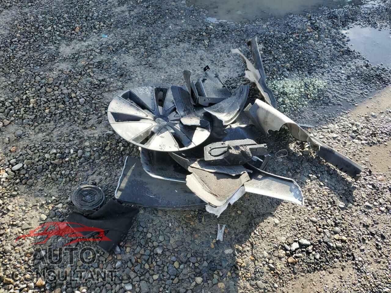 TESLA MODEL 3 2024 - 5YJ3E1EA4RF745841
