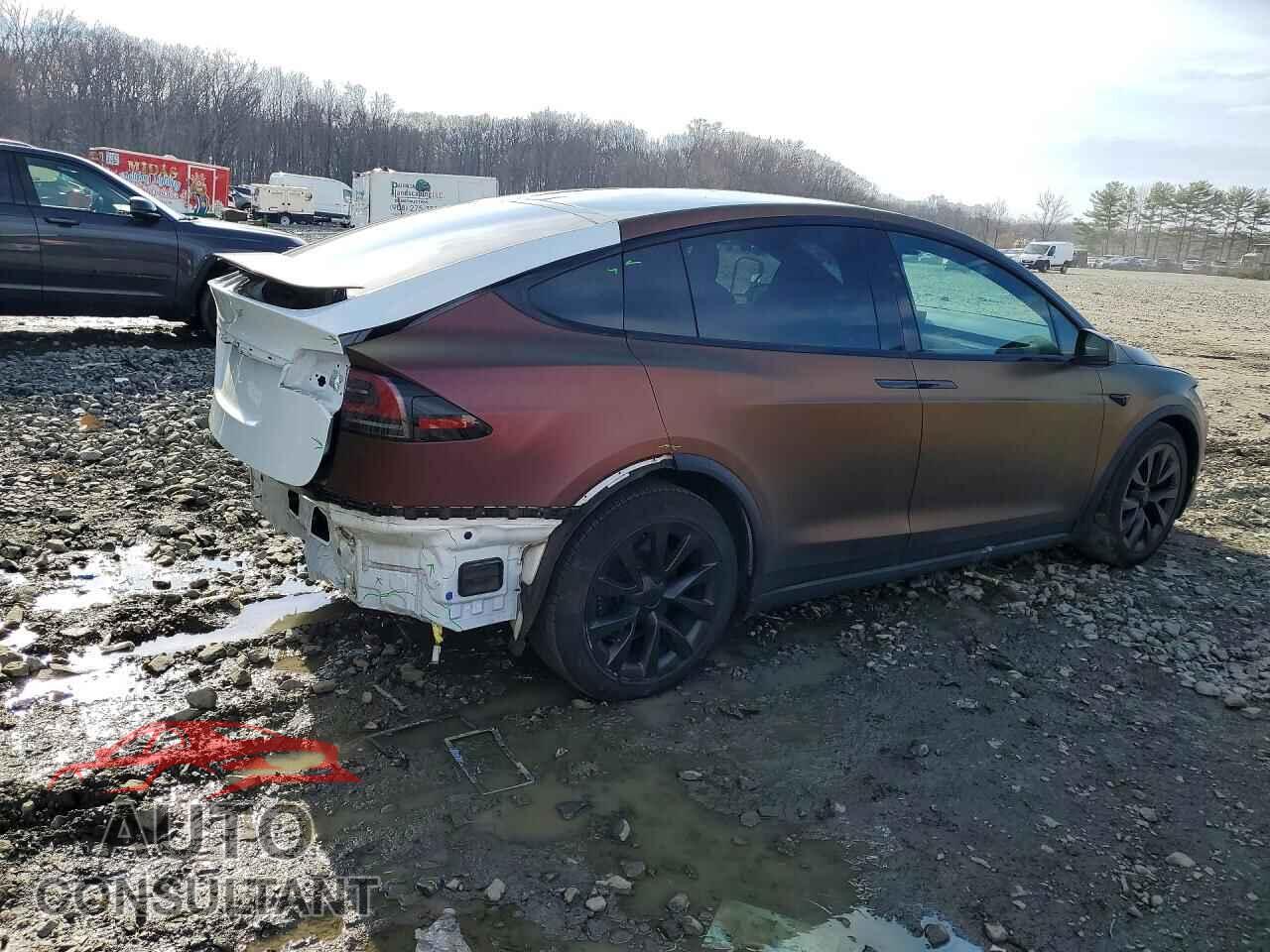 TESLA MODEL X 2023 - 7SAXCAE55PF365935