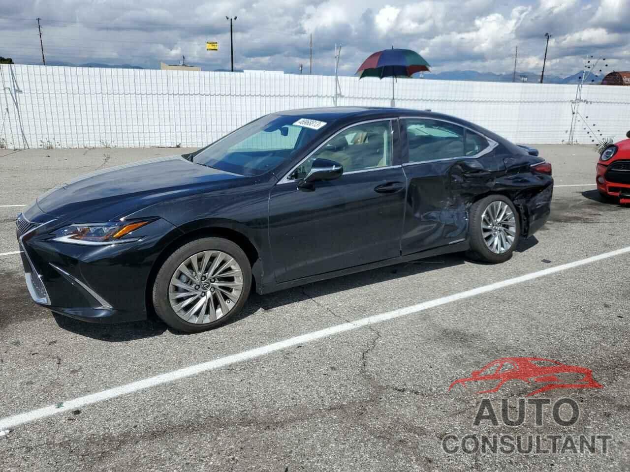 LEXUS ES300 2021 - 58AEA1C13MU012143