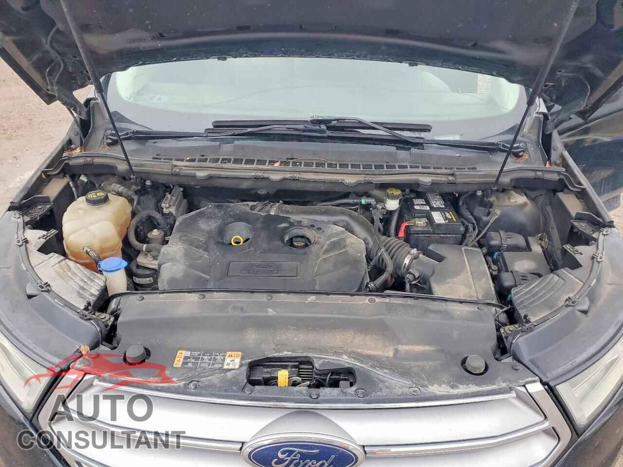 FORD EDGE 2017 - 2FMPK4G91HBC68002