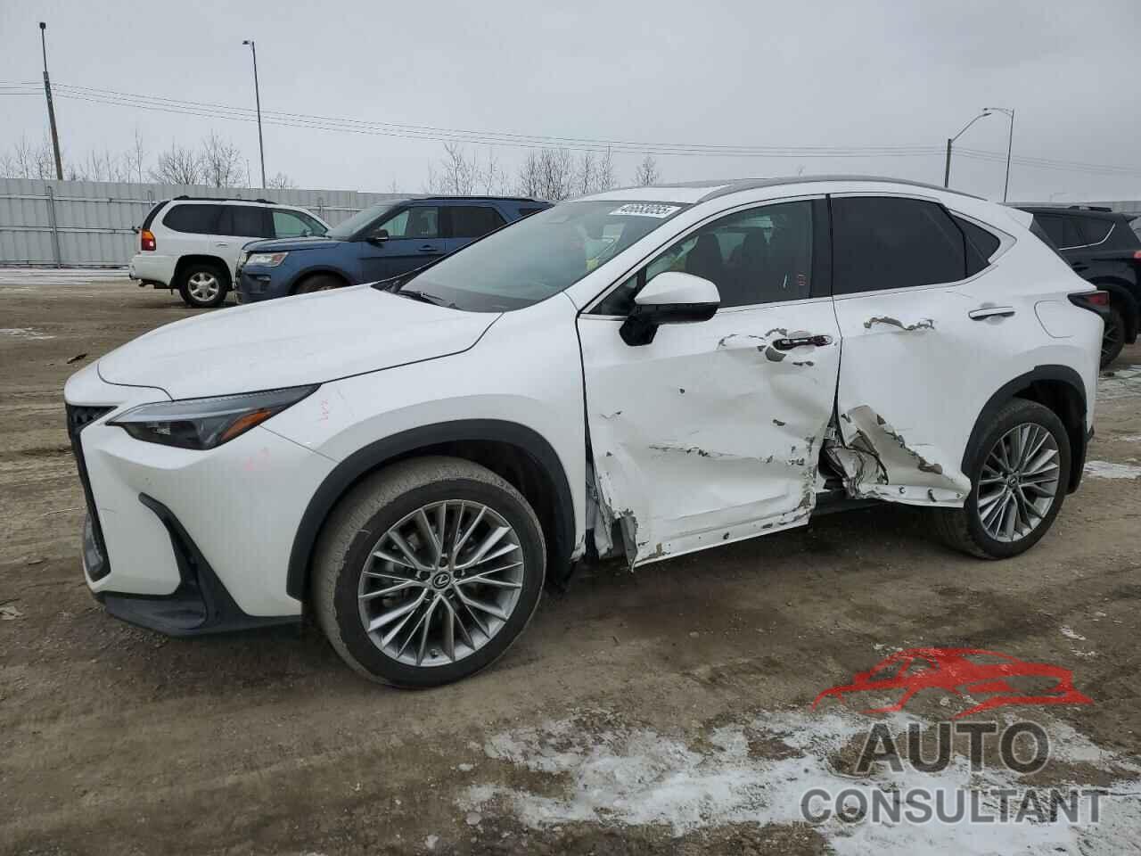 LEXUS NX 350 2023 - 2T2GGCEZ8PC026876