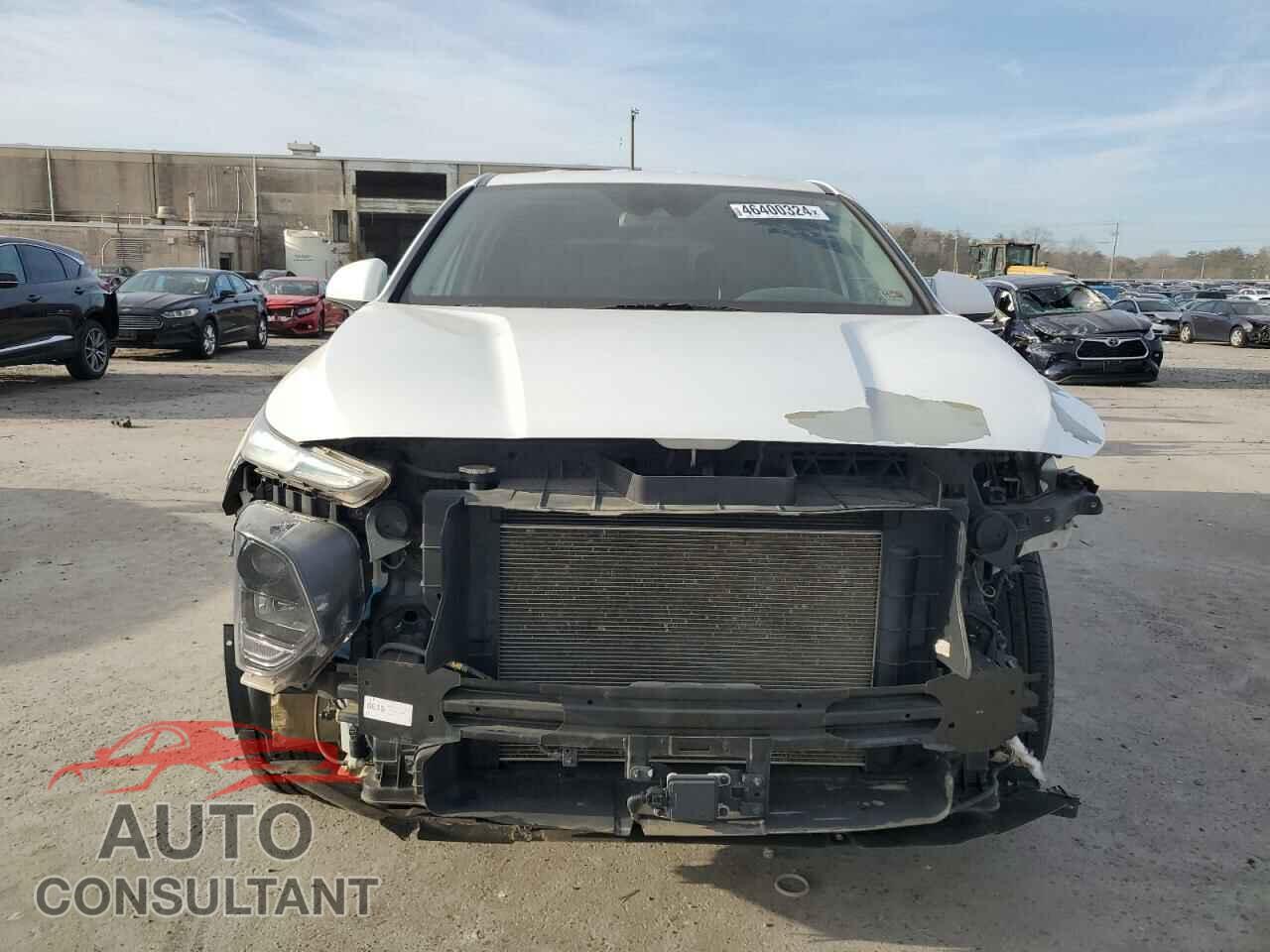 HYUNDAI SANTA FE 2019 - 5NMS2CAD2KH026902