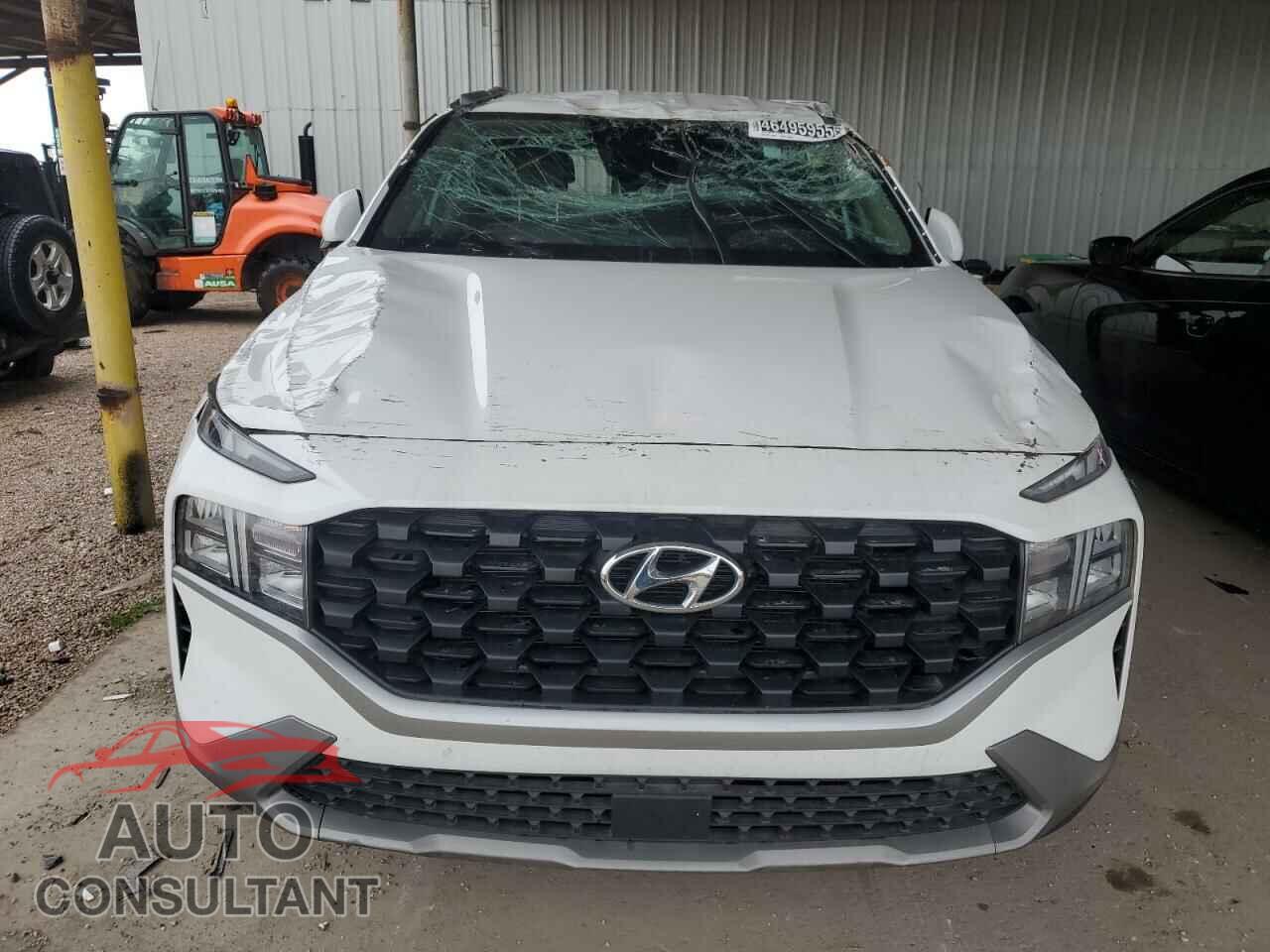 HYUNDAI SANTA FE 2023 - 5NMS2DAJ3PH598564