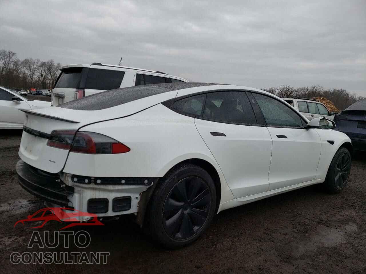 TESLA MODEL S 2021 - 5YJSA1E60MF442924