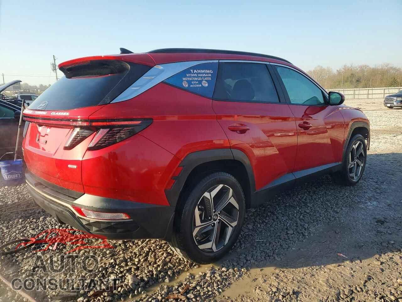 HYUNDAI TUCSON 2023 - 5NMJFCAEXPH217841