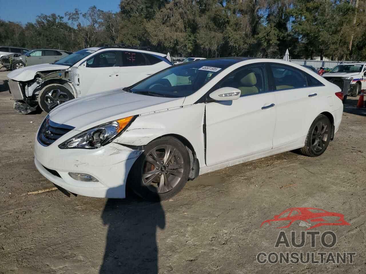 HYUNDAI SONATA 2013 - 5NPEC4ACXDH610297