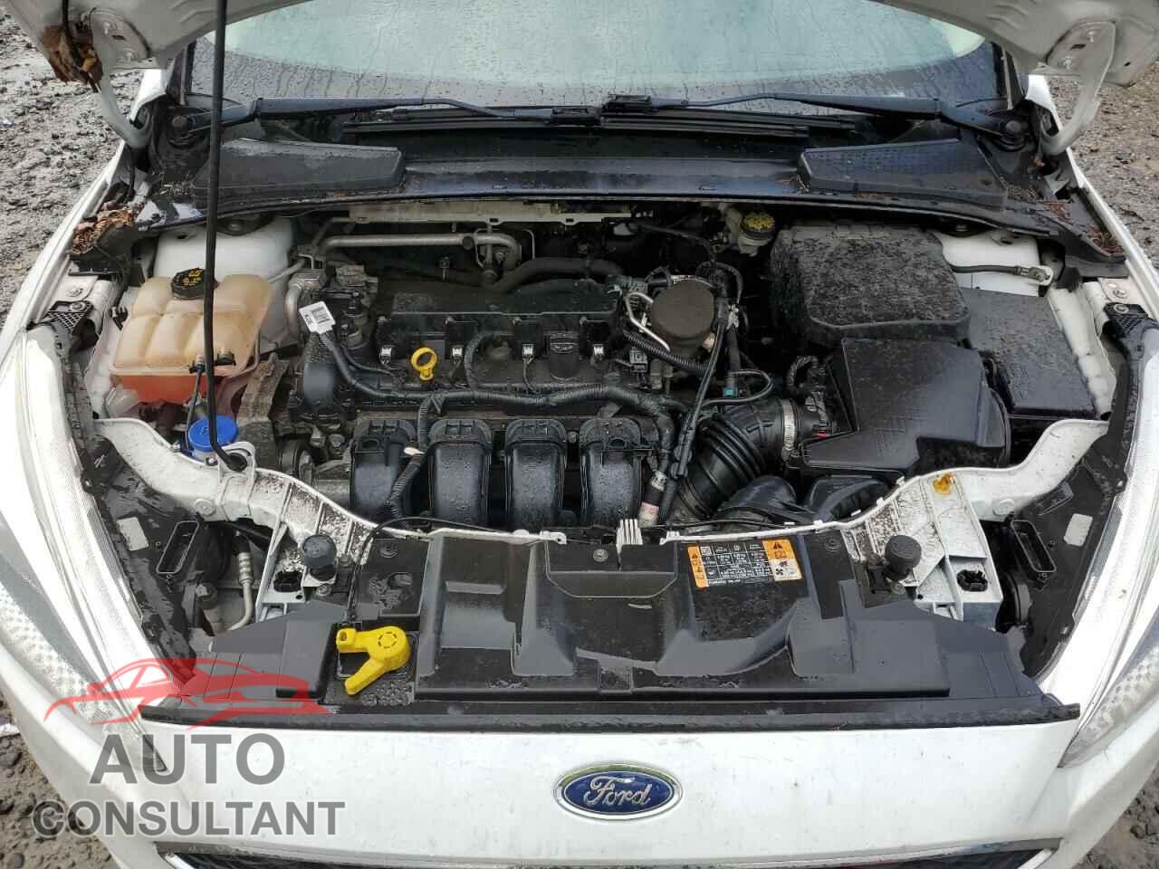 FORD FOCUS 2016 - 1FADP3F28GL261737